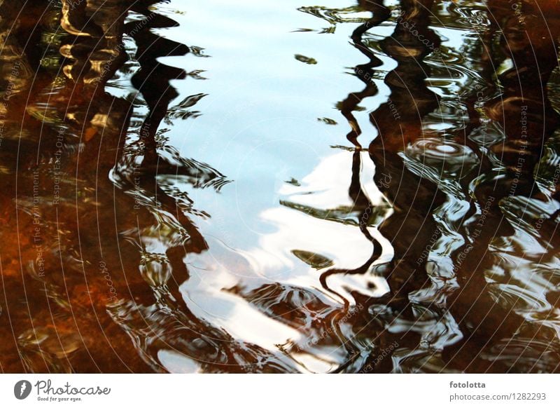 im Fluss Natur Wasser Himmel Wolken Wellen nass blau braun rot weiß Reflexion & Spiegelung Baum Farbfoto Außenaufnahme