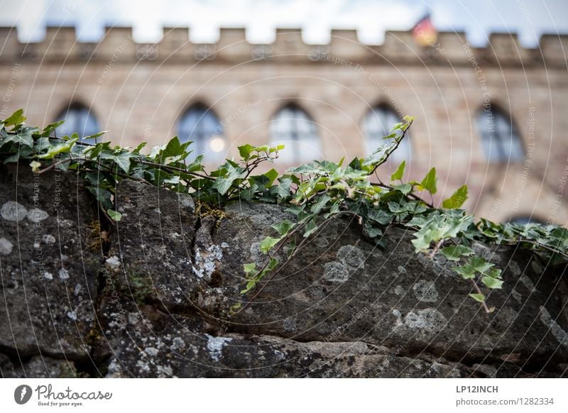 Buuuuuuuuuurg Ferien & Urlaub & Reisen Tourismus Ausflug Städtereise Burg oder Schloss Sehenswürdigkeit Stein elegant Dekadenz geheimnisvoll Kultur Reichtum