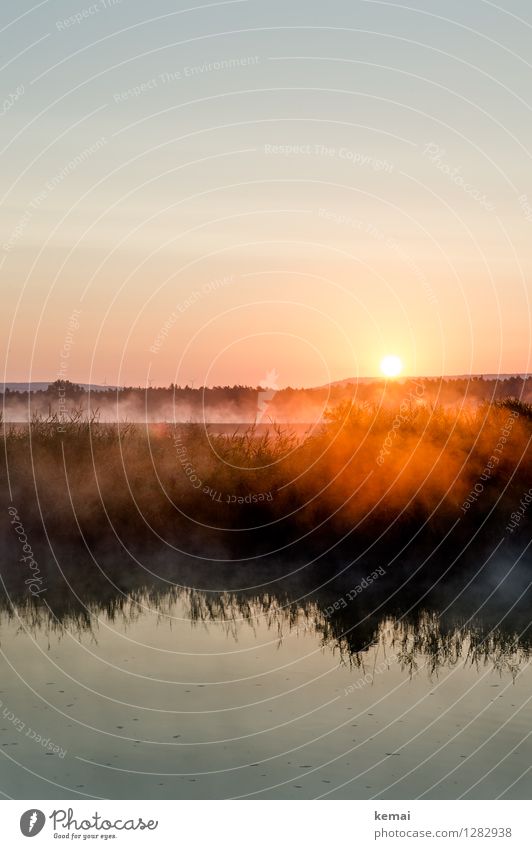 0815 AST | Sich früh regen bringt Segen Umwelt Natur Landschaft Pflanze Wasser Himmel Wolkenloser Himmel Sonne Sonnenaufgang Sonnenuntergang Sonnenlicht Sommer