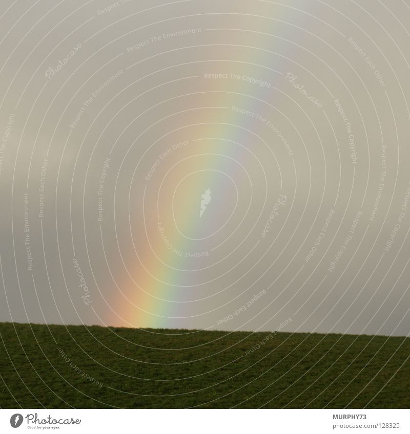 Ob der Goldschatz wirklich nur gleich hinter der Kuppe liegt??? Regenbogen Prisma Lichtbrechung Bruch regenbogenfarben Hügel Regenwolken dunkel grau grün Himmel