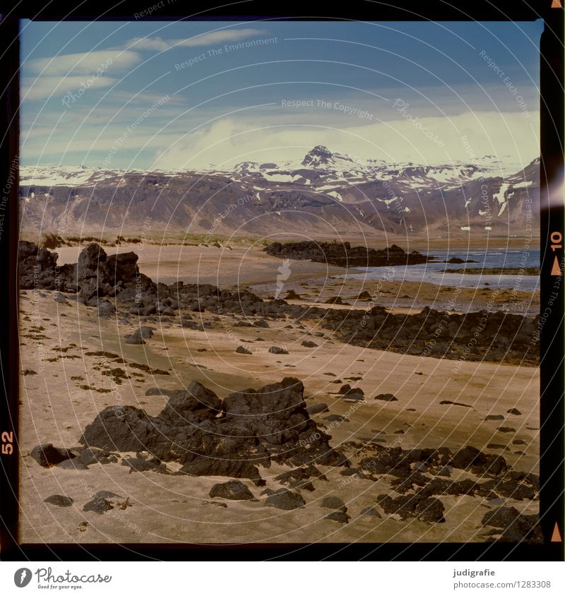 Island Umwelt Natur Landschaft Urelemente Berge u. Gebirge Schneebedeckte Gipfel Küste Strand Bucht Fjord außergewöhnlich natürlich wild Klima analog Farbfoto