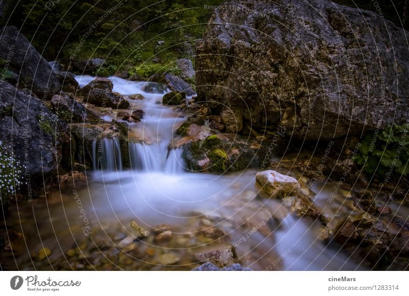 Langzeitbelichtung Bergbach Natur Landschaft Wasser Sommer Grünpflanze Alpen Berge u. Gebirge Bach träumen natürlich positiv schön grau grün weiß Zufriedenheit