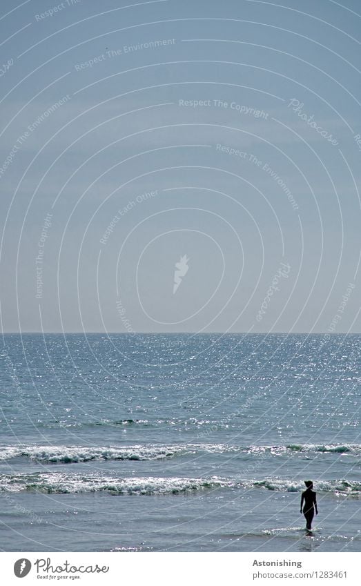 im Meer Mensch feminin Körper 1 18-30 Jahre Jugendliche Erwachsene Umwelt Natur Landschaft Luft Wasser Himmel Wolkenloser Himmel Horizont Sommer Wetter