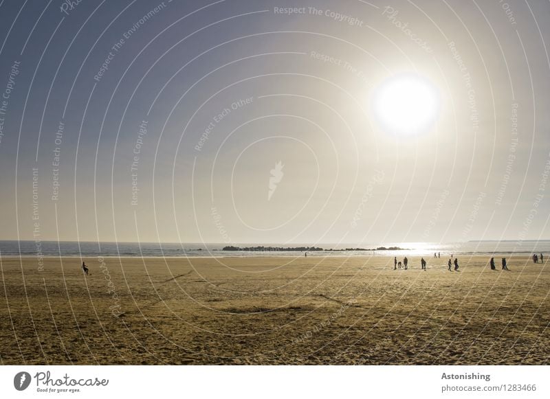 Abend am Strand Ferien & Urlaub & Reisen Meer Mensch Körper Menschengruppe Umwelt Natur Landschaft Sand Wasser Himmel Wolkenloser Himmel Horizont Sonne