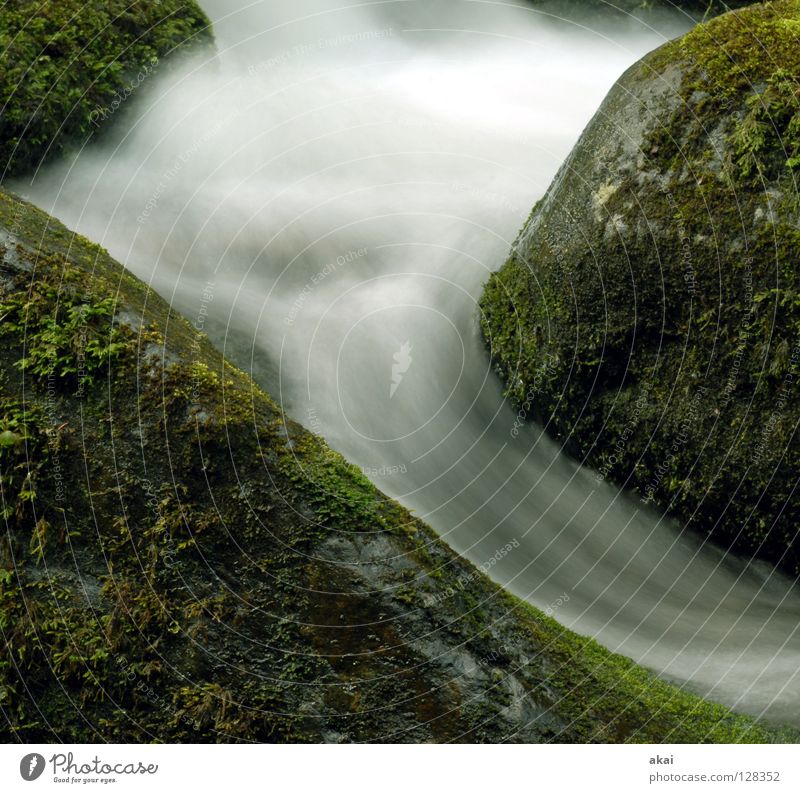 Weiches Wasser 2 schön Berge u. Gebirge Landschaft Bach Fluss Wasserfall kalt weich Wildbach Schwarzwald krumm Schauinsland Mittelgebirge graufilter