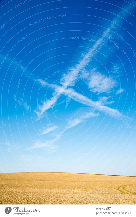 Ein "H" Umwelt Natur Landschaft Pflanze Erde Luft Himmel Wolken Horizont Sommer Schönes Wetter Nutzpflanze Getreide Feld Hügel Zeichen Schriftzeichen natürlich