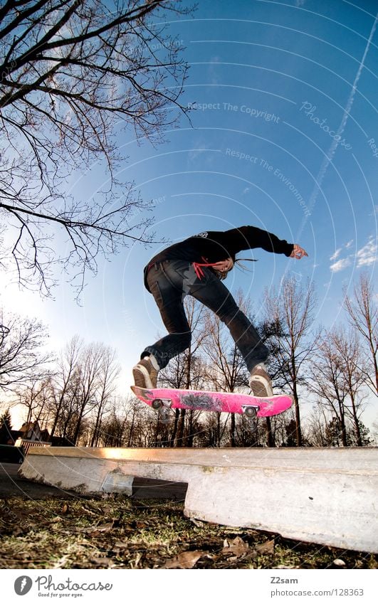 frontside boardslide II Aktion Skateboarding Zufriedenheit Kickflip Salto springen gestreift Teer Beton Licht Baum Weitwinkel Jugendliche Sport Pfütze