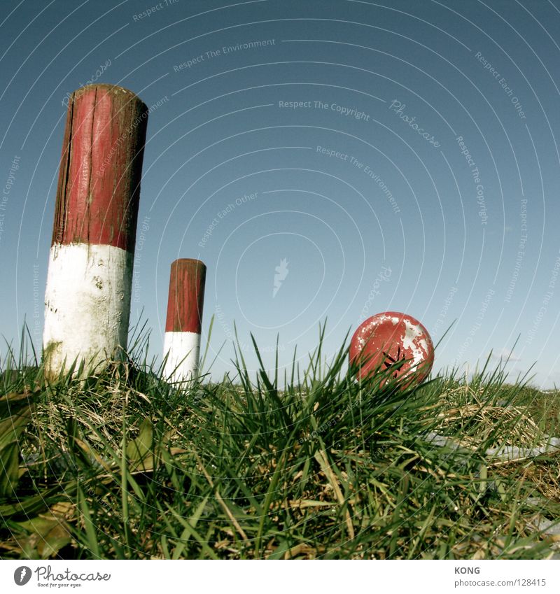 try to hide Hydrant Poller rot rot-weiß Wiese Gras Halm himmelblau grasgrün Warnung kennzeichnen löschen Öffentlicher Dienst Industrie Pfosten Rasen Himmel