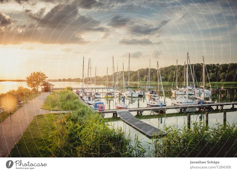 Sommerhafen Natur Landschaft Luft Wasser Schönes Wetter Glück Zufriedenheit Lebensfreude Vorfreude Euphorie Kraft Warmherzigkeit Idylle Hafen Wasserfahrzeug