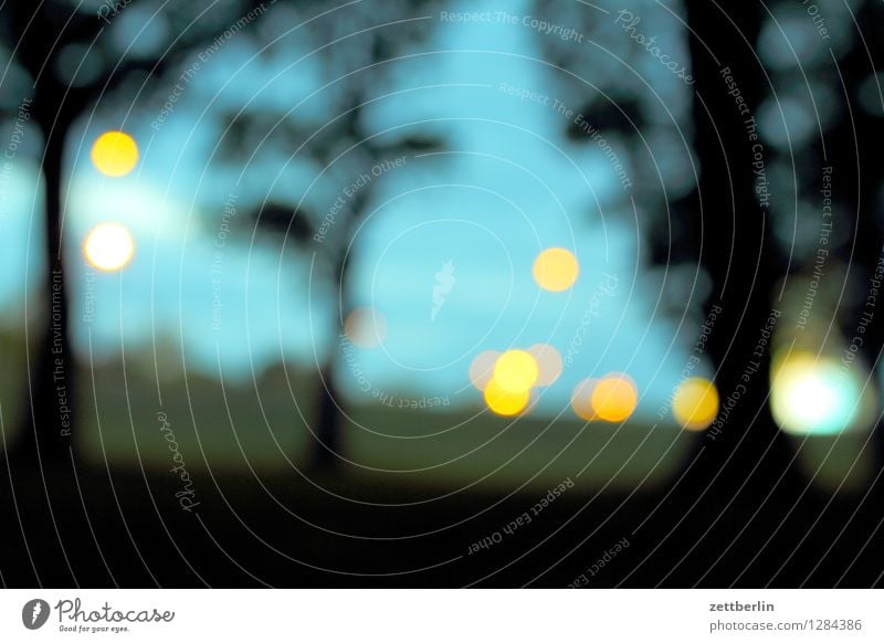 Lichter Lampe Scheinwerfer Wald Waldrand Spitzel Tatort bedrohlich gefährlich Risiko Spannung beobachten Stalking Bewusstseinsstörung Märchen