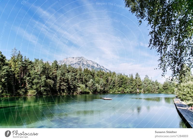 Waldbad Natur Horizont Schönes Wetter Baum Wiese Küste See Schwimmen & Baden Schwimmbad Badesee Badestelle Untersberg Österreich Salzburg Waldsee Wasser