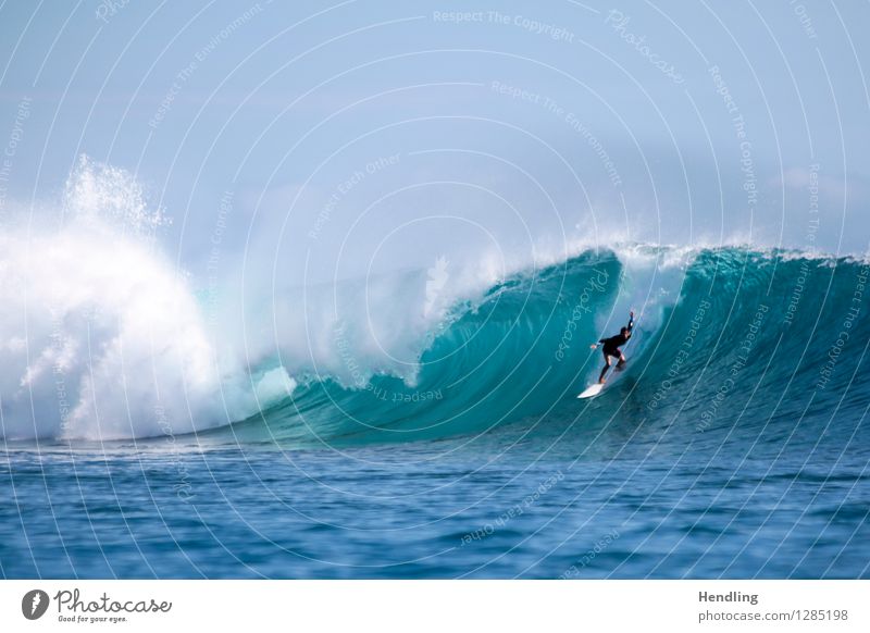 Surfing Indonesia III Schönes Wetter Riff Korallenriff Meer Insel Begeisterung Euphorie Coolness authentisch Angst gefährlich Mensch Wasser blau Surfen