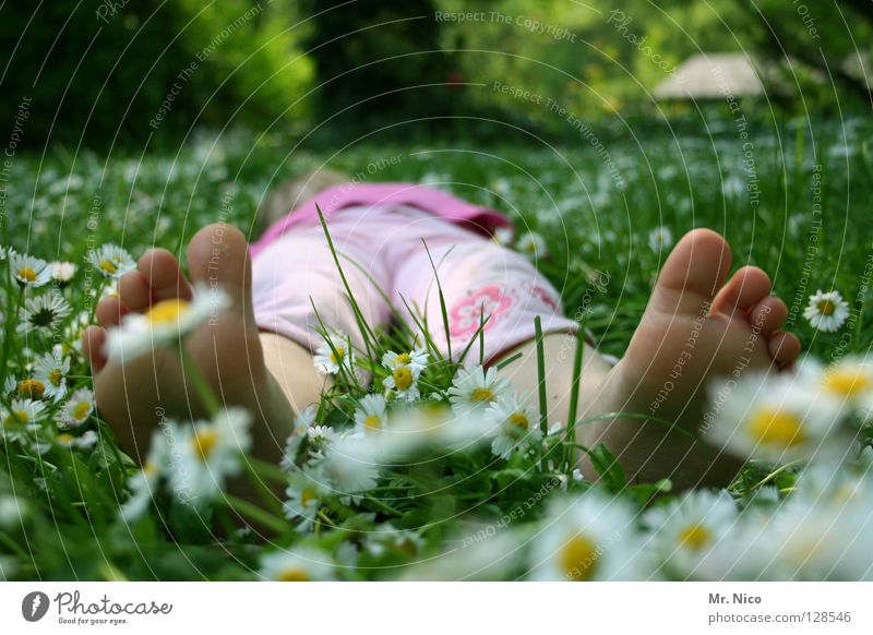 chillen Erholung ruhig Sommer Mädchen Fuß Frühling Wärme Wiese genießen liegen gelb grün rosa weiß bequem Frieden faulenzen Zehen Gänseblümchen sommerlich