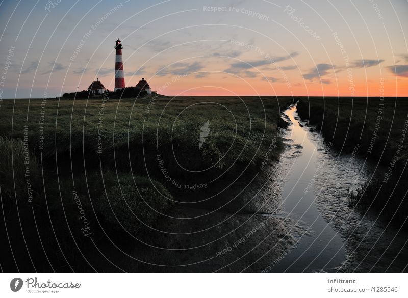 Leuchtturm Westerhever Sommer Meer Landschaft Himmel Sonnenaufgang Sonnenuntergang Schönes Wetter Wiese Feld Küste Nordsee Menschenleer Sehenswürdigkeit