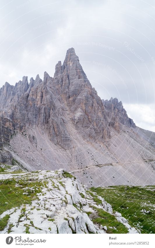 Paternkofel Ferien & Urlaub & Reisen Tourismus Ausflug Berge u. Gebirge wandern Natur Landschaft Urelemente Erde Himmel Wolken Sommer Wiese Felsen Alpen