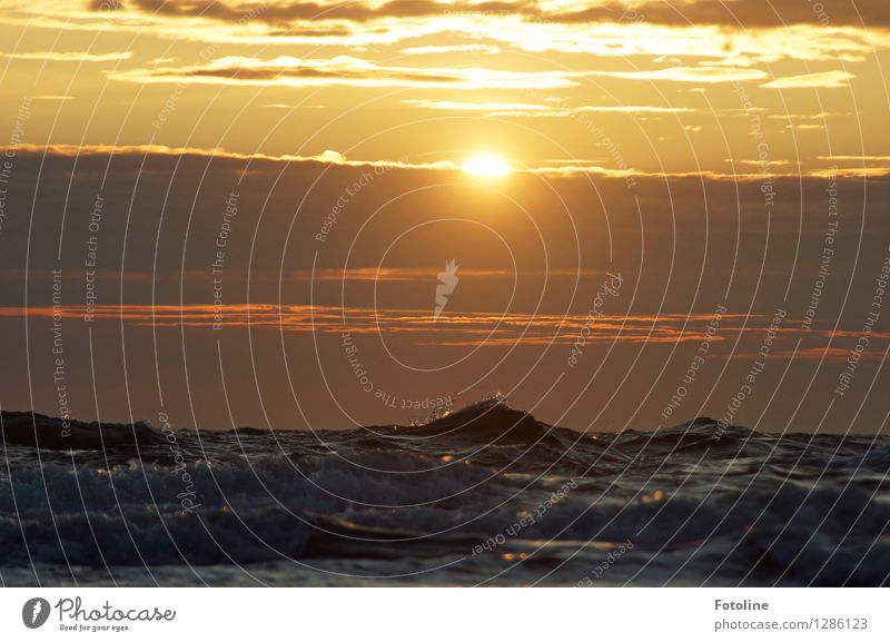 unruhig Umwelt Natur Urelemente Wasser Himmel Wolken Sommer Wellen Nordsee Meer frisch nass natürlich Wärme wild Wellengang Farbfoto Gedeckte Farben mehrfarbig