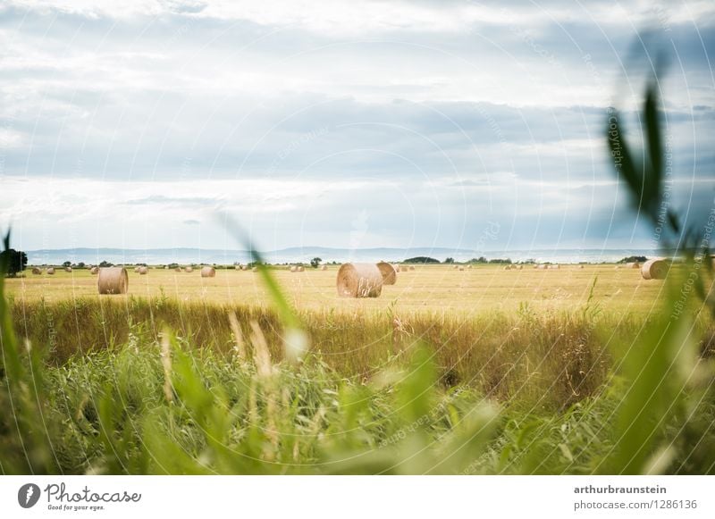 Heuballen am Feld Freizeit & Hobby Ferien & Urlaub & Reisen Tourismus Ausflug Ferne Sommer Sommerurlaub Landwirt Landwirtschaft Wirtschaft Forstwirtschaft