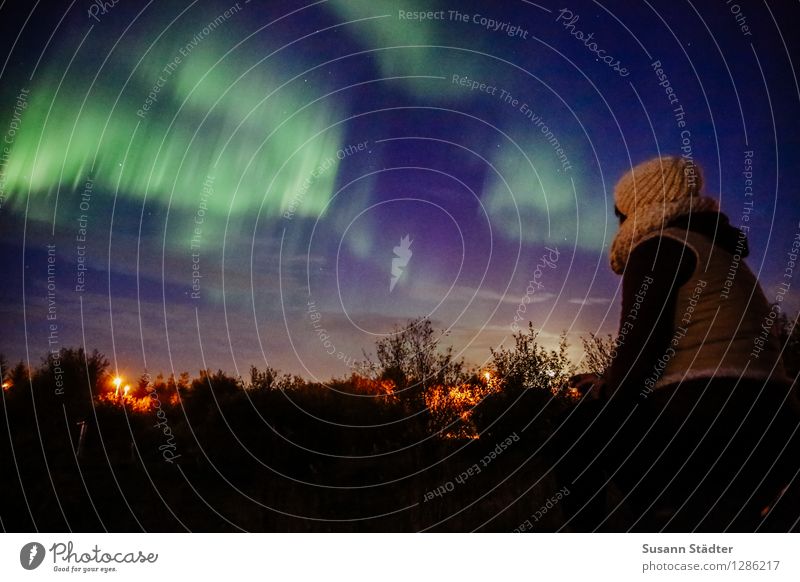 Iceland | northern lights Mensch feminin Körper 1 beobachten Nordlicht Island Selfoss Publikum Naturphänomene Lichtschein Lichtspiel Lichteinfall Norden