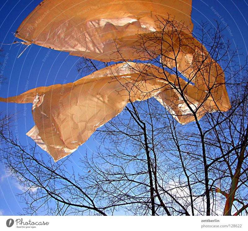 Frühling Fahne Abdeckung Bauplane Sturm flattern Wellen himmelblau Baum Freude Dekoration & Verzierung Schnur blaues band frühlingsopfer Wind wehen Bewegung