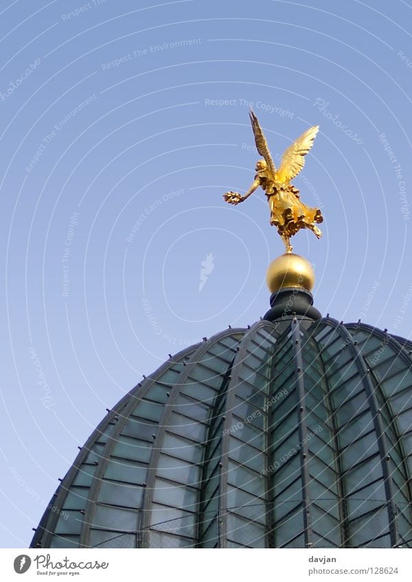 Engelein flieg! Kuppeldach Dresden Sachsen Studium Gebäude Dach Glasdach historisch Wahrzeichen Denkmal fliegen Kunstakademie gold Flügel Freiheit losfliegen