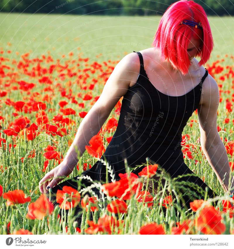 schlag.artig. Feld Sommer heiß Physik Grad Celsius gehen Kleid schwarz rot weiß Strahlung falsch rothaarig Mohnfeld Spaziergang grün gelb Baum Schulter Gras