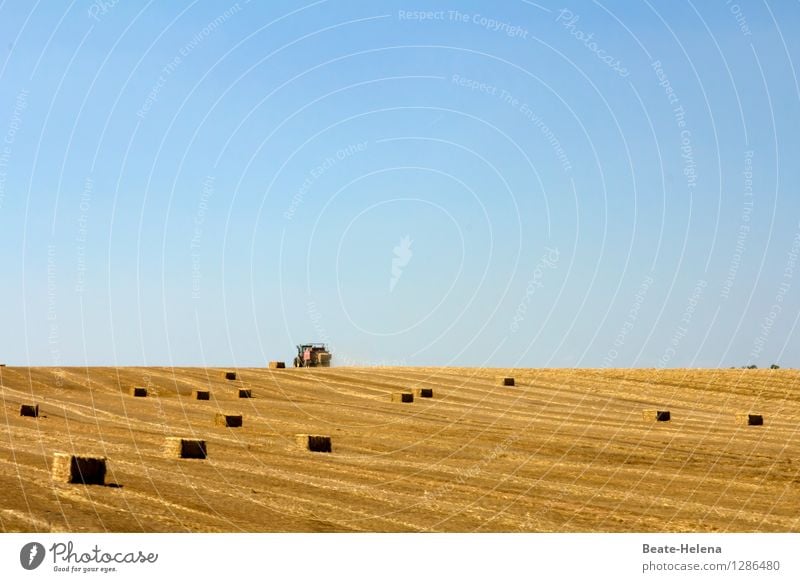 Form_vollendet Umwelt Natur Wolkenloser Himmel Sommer Schönes Wetter Nutzpflanze Feld Traktor Arbeit & Erwerbstätigkeit ästhetisch außergewöhnlich blau braun