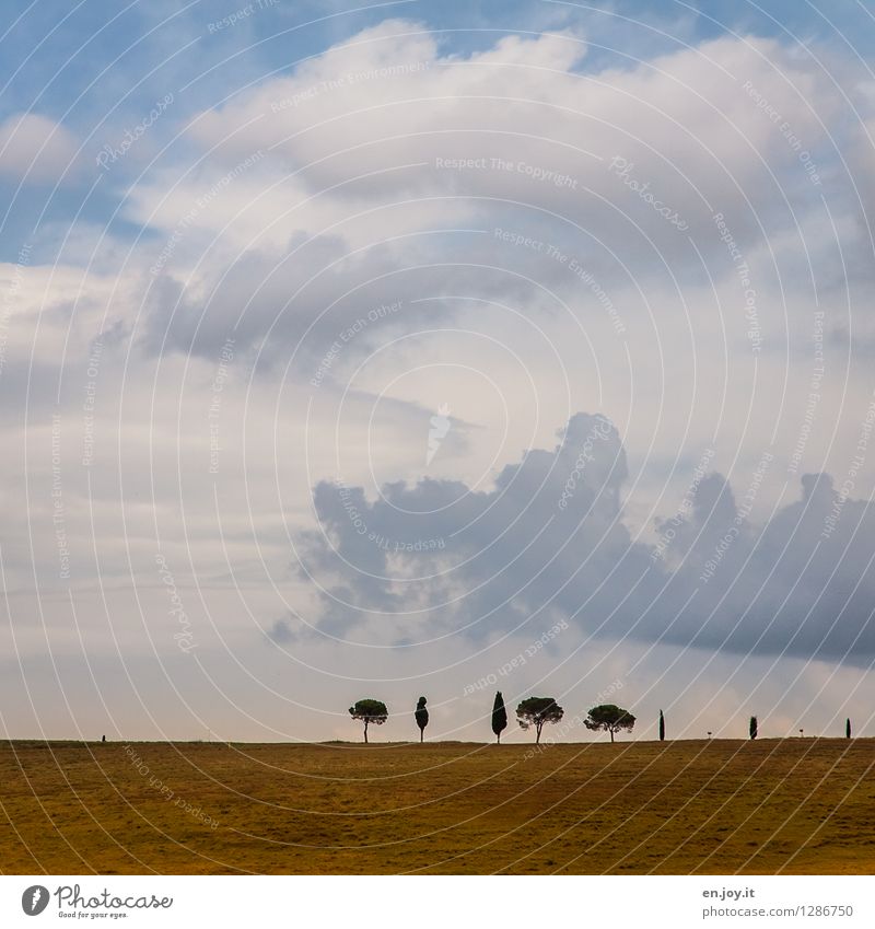 huch 500 :-) | diversity Ferien & Urlaub & Reisen Ausflug Ferne Sommer Sommerurlaub Natur Landschaft Pflanze Himmel Wolken Horizont Herbst Zypresse Pinie Baum