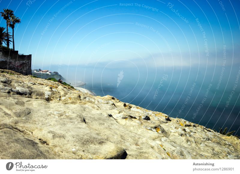 das Meer im Nebel Umwelt Natur Landschaft Wasser Himmel Wolken Sommer Wetter Pflanze Baum Hügel Felsen Wellen Küste Mittelmeer Tanger Stein hoch blau grau weiß