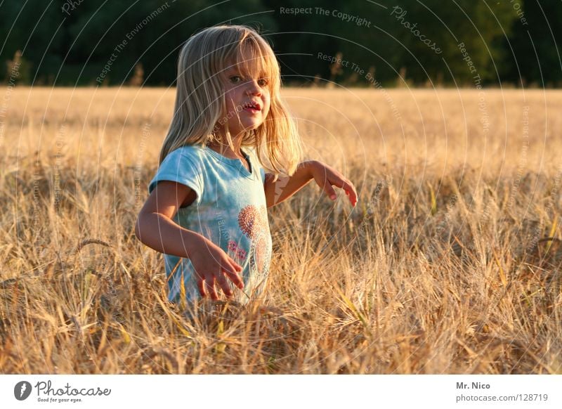 girlie schön Wohlgefühl Ferne Sommer Kind Landwirtschaft Mädchen Hand Schönes Wetter Wärme Feld T-Shirt blond langhaarig stehen hell niedlich weich Kornfeld