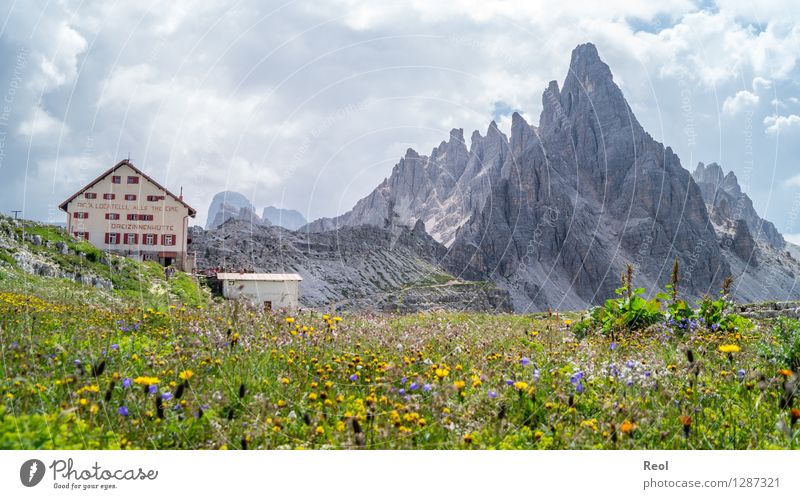 Dreizinnenhütte II Ferien & Urlaub & Reisen Tourismus Ausflug Berge u. Gebirge wandern Umwelt Natur Landschaft Himmel Wolken Sommer Schönes Wetter Blume Wiese