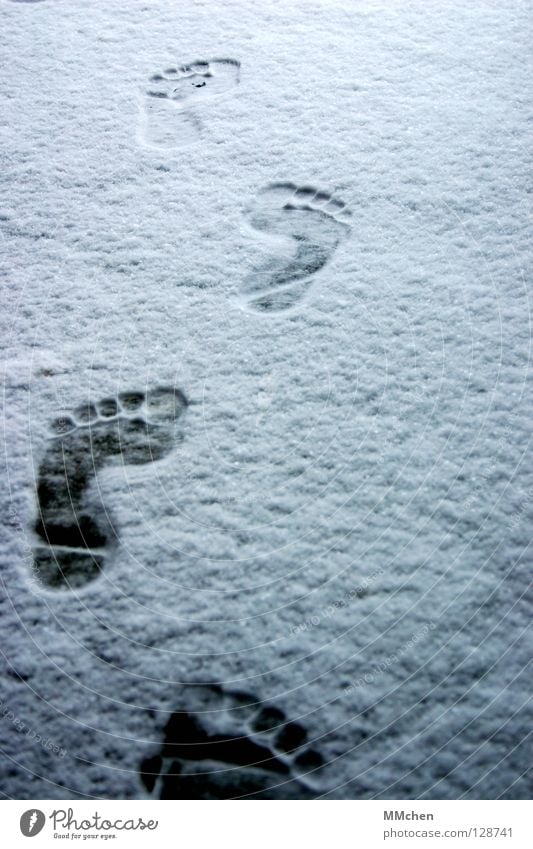 Homo Sapiens Fußspur Barfuß kalt frieren entkleiden vorwärts marschieren wandern verfolgen Winter weiß schießen Eindruck Fährte unterwegs Armut Zehen 5 10 15 20