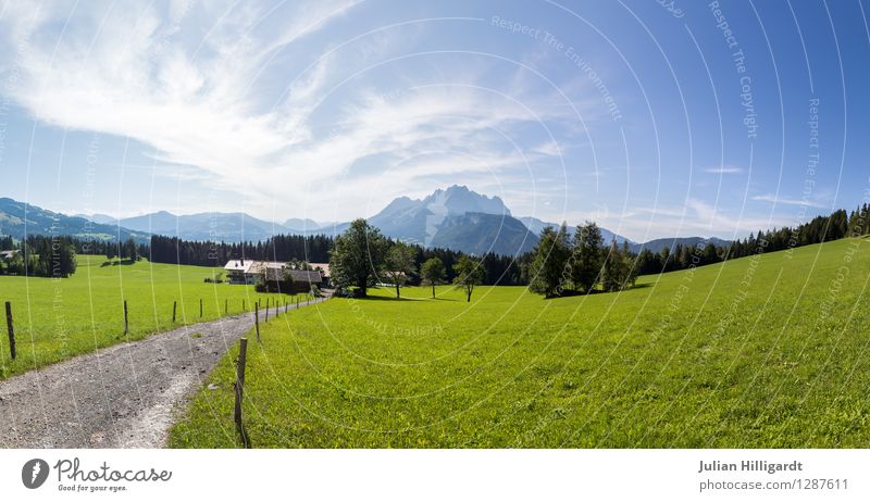 Der wilde Kaiser Lifestyle Ferien & Urlaub & Reisen Tourismus Ausflug Abenteuer Ferne Freiheit Sommerurlaub Berge u. Gebirge wandern Umwelt Natur Landschaft