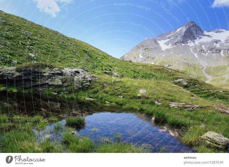 Berg Teich Leben ruhig Ferien & Urlaub & Reisen Tourismus Freiheit Sommer Berge u. Gebirge wandern Natur Landschaft Himmel Wolken Horizont Schönes Wetter Gras