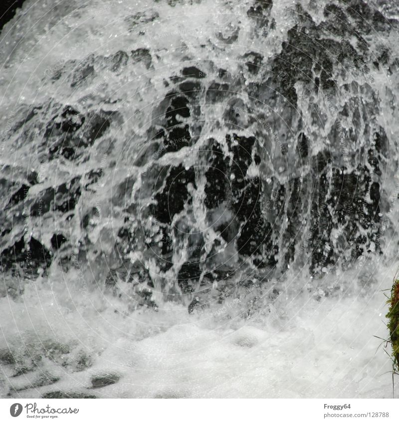 Wildes Wasser spritzen kalt schwarz weiß Bach Wildbach feucht nass Strömung Fluss Schifffahrt Wildtier Berge u. Gebirge Wasserfall Felsen Stein