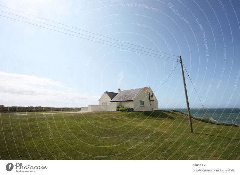 Strandhaus Wohnung Schönes Wetter Wiese Küste Meer Wales Menschenleer Haus Einfamilienhaus Traumhaus Architektur Strommast Einsamkeit Idylle Häusliches Leben