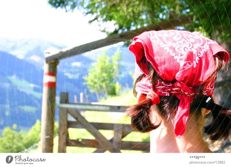 Schranke öffne dich! Gras Frau Kopftuch rot grün Holz Baum wandern Zopf Berge u. Gebirge Wegweiser Haare & Frisuren