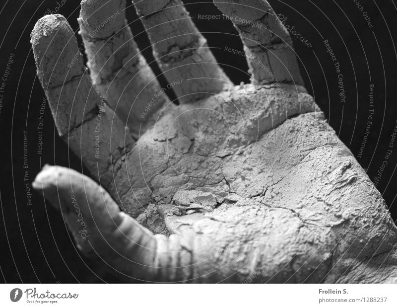 . Mann Erwachsene Haut Hand Finger Hautfalten Handlinie 1 Mensch Lehm Staub Riss Krümel ästhetisch geheimnisvoll Sinnesorgane nehmen geben festhalten greifen