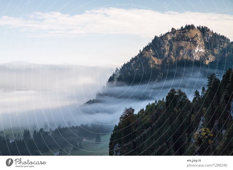 benebelt Ferien & Urlaub & Reisen Ausflug Abenteuer Ferne Freiheit Sommerurlaub Berge u. Gebirge Natur Landschaft Himmel Herbst Klima Klimawandel Wetter Nebel