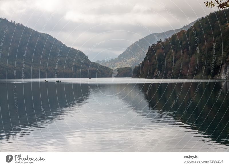 Herbstwetter Ferien & Urlaub & Reisen Tourismus Ausflug Berge u. Gebirge Natur Landschaft Himmel Wolken Wetter schlechtes Wetter Nebel Wald Alpen See Alpsee