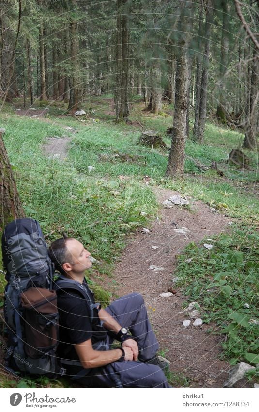 Rast(Platz) Mensch maskulin 1 30-45 Jahre Erwachsene Natur Pflanze Tier Wald Wege & Pfade Erholung sitzen wandern blau braun grün Vorsicht geduldig ruhig