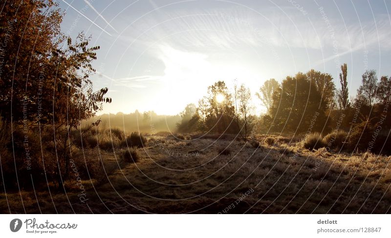 Wahner Heide 18 Sonnenuntergang Abend braun grün Licht Herbst Landschaft Spaziergang Natur Schatten Kontrast