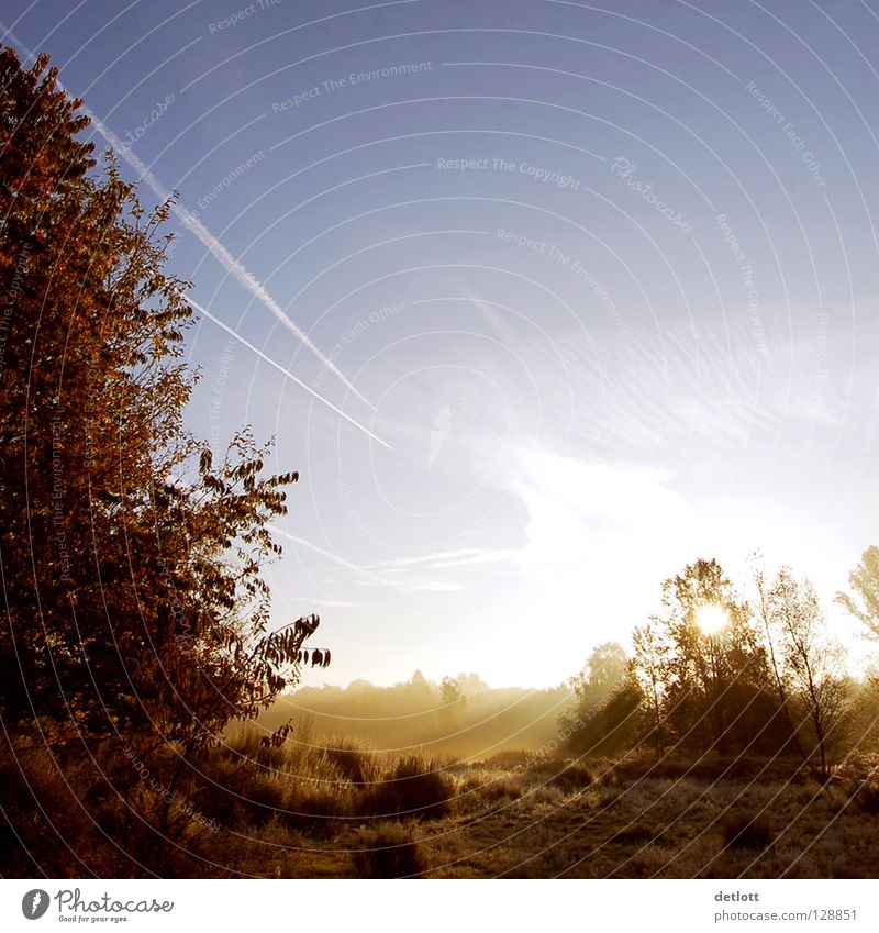 Wahner Heide 20 Sonnenaufgang Morgen braun grün Licht Wolken Nebel Herbst Landschaft Spaziergang Natur Schatten blau