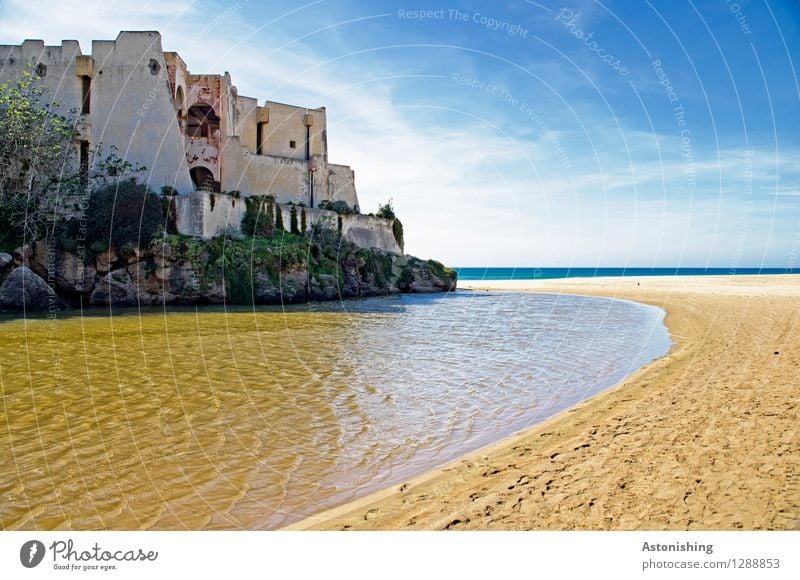 alte Burg Umwelt Natur Landschaft Wasser Himmel Horizont Sommer Wetter Schönes Wetter Baum Felsen Wellen Küste Meer Atlantik Marokko Afrika Haus