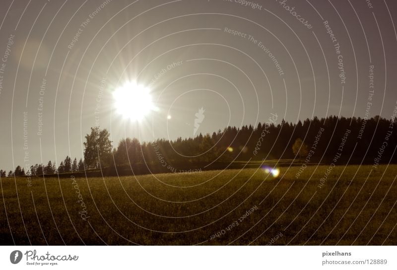 Hundstage... ruhig Freiheit Sommer Sonne Berge u. Gebirge Wärme Baum Wiese Hügel frisch heiß Nachmittag Schwüle spät glühend Farbfoto Blendenfleck Gegenlicht