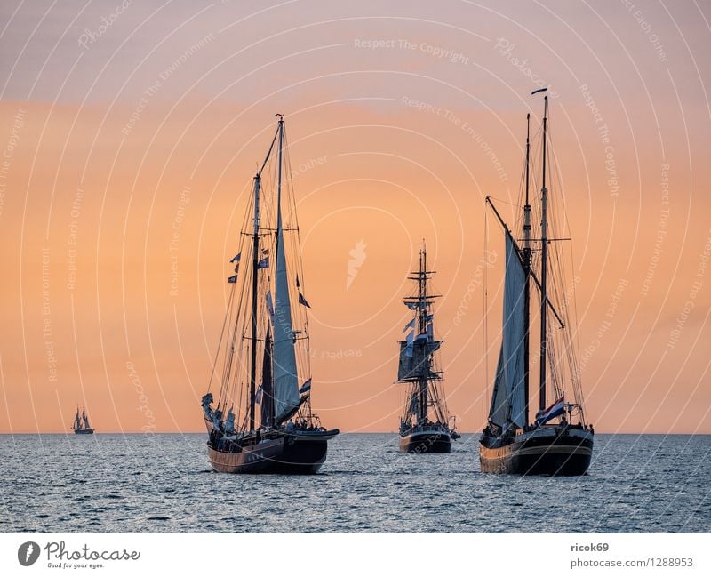 Segelschiffe auf der Hansesail Erholung Ferien & Urlaub & Reisen Tourismus Segeln Wasser Wolken Ostsee Schifffahrt maritim gelb rot Romantik Idylle Windjammer