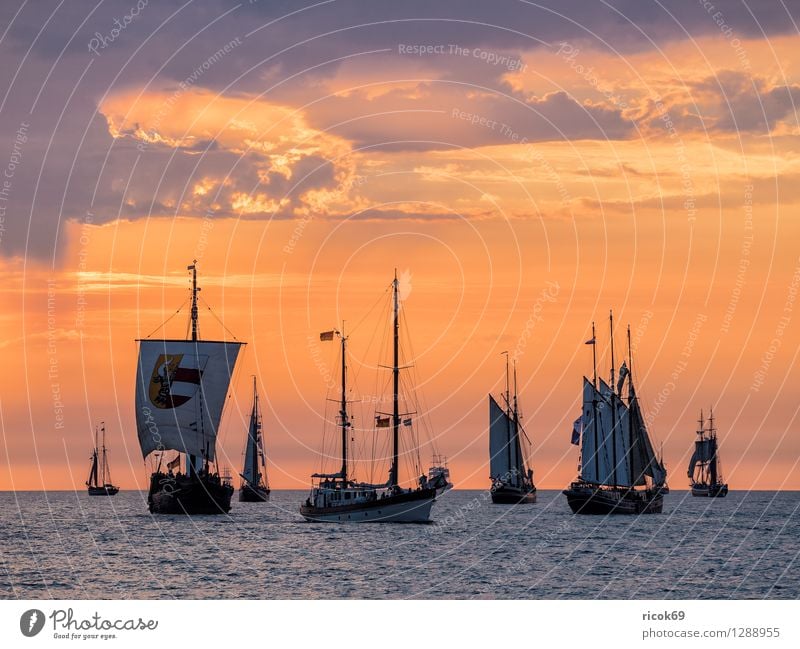 Segelschiffe auf der Hansesail Erholung Ferien & Urlaub & Reisen Tourismus Segeln Wasser Wolken Ostsee Schifffahrt maritim gelb rot Romantik Idylle Kitsch