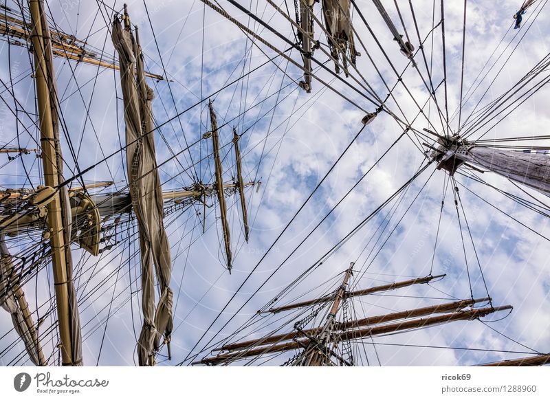 Segelschiff auf der Hansesail Erholung Ferien & Urlaub & Reisen Tourismus Segeln Wolken Ostsee Schifffahrt maritim Romantik Idylle Windjammer Takelage Masten