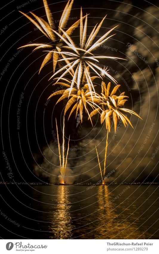 Feuerwerk Kunst Künstler Kunstwerk Theaterschauspiel gelb gold orange schwarz silber weiß Rauch Palme zünden Rakete dreckig Wasser Reflexion & Spiegelung Licht