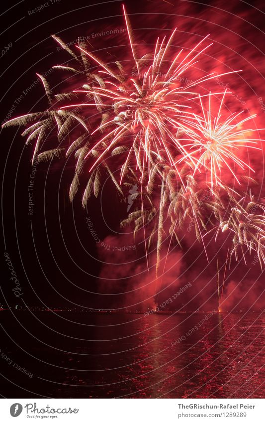 Fireworks Kunst Kunstwerk Theaterschauspiel orange rosa rot schwarz feuerkörper Feuerwerk Rakete Rauch brennen Licht erhellend Wasser Reflexion & Spiegelung