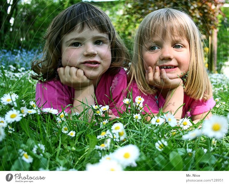 Grinsebacken Kopfstütze Freundschaft Aussehen sommerlich Mädchen 2 niedlich schön blond dunkelhaarig grinsen Fröhlichkeit Zufriedenheit Wiese Gänseblümchen